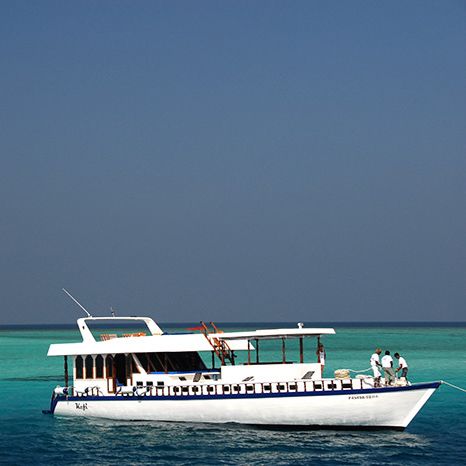 Tauchsafari Gruppenreise Malediven MY Kefi